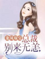 龍鳳雙寶：總裁，別來(lái)無(wú)恙