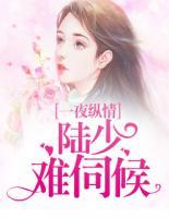 一夜縱情：陸少難伺候