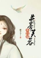 芙蓉并蒂本自雙