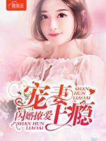 閃婚撩愛寵妻上癮