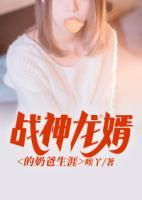 戰(zhàn)神龍婿的奶爸生涯