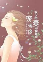 寵妻無度：權(quán)少的閃婚新娘