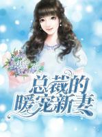 總裁的暖寵新妻