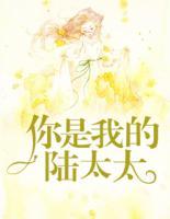 你是我的陸太太