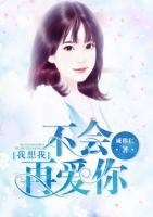 我想我不會再愛你