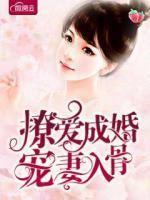 撩愛成婚寵妻入骨