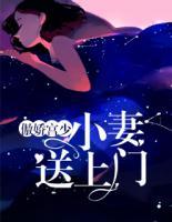 傲嬌宮少：小妻送上門