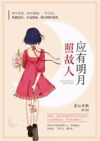 應(yīng)有明月照故人