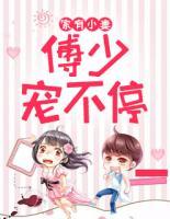 家有小妻：傅少寵不停