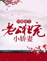 穿越重生：老公狂寵小嬌妻