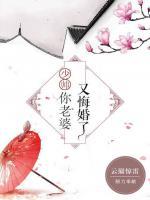 少帥，你老婆又悔婚了