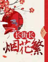 長街長，煙花繁