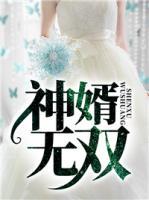 神婿無雙