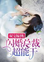 雙寶嫁到：閃婚總裁超能干