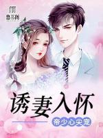 誘妻入懷：帝少心尖寵