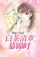 白茶清歡慕錦時