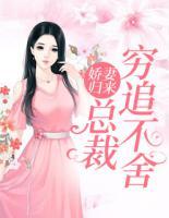 嬌妻歸來：總裁窮追不舍