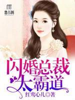 閃婚總裁太霸道