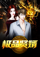 極品賢婿