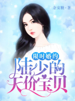 限時(shí)婚約：陸少的天價(jià)寶貝