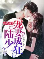 再婚盛寵：陸少寵妻成狂