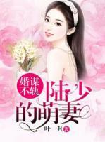 婚謀不軌：陸少的萌妻