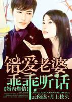 婚內(nèi)燃情：錯愛老婆乖乖聽話