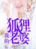 我的狐貍老婆