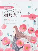 暖婚情深：第一嬌妻強勢寵