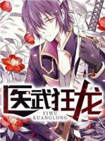 醫(yī)武狂龍