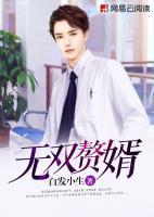 無雙贅婿