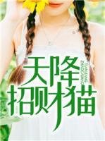 天降招財貓