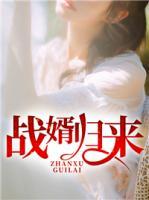 戰(zhàn)婿歸來