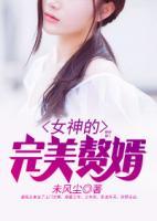 女神的完美贅婿