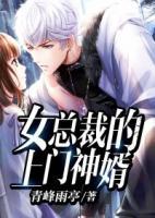 女總裁的上門神婿