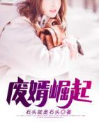 廢婿崛起