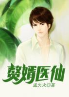 贅婿醫(yī)仙