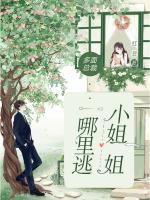 多面總裁：小姐姐哪里逃