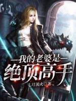 我的老婆是絕頂高手