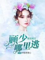 婚寵蜜戀，顧少哪里逃