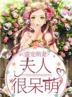 盛寵萌妻：夫人很呆萌