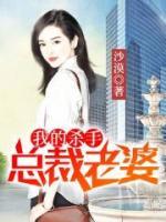 我的殺手總裁老婆