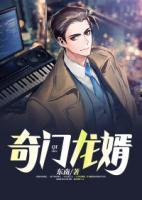 奇門龍婿