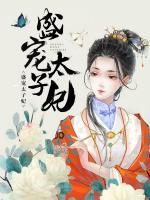 盛寵太子妃