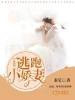 總裁的逃跑小嬌妻