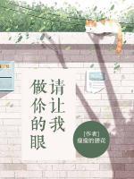 請讓我做你的眼睛