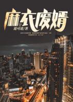 麻衣廢婿