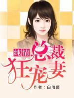 純情總裁狂寵妻