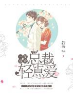 一夜成歡：總裁輕點(diǎn)愛(ài)