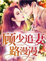 顧少追妻路漫漫